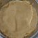 Cooksnap dari Susanti untuk resep Chicken Wrap with Oat Tortillas
