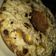 Cooksnap dari Fitri Wahyuningsih untuk resep Bolu pisang kukus (no mixer)