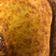 El cooksnap de Dalia Patino cuando hizo Pan de elote.