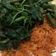 Cooksnap dari nurul zulayka untuk resep Urap Sayur Bumbu Tumis