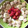 El cooksnap de Lorena Ortiz cuando hizo Desayuno saludable: Banana, frutillas, cereales y miel.
