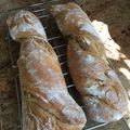 Ágnes Sipőczné Vámos Cooksnap-ja, amikor elkészítette a(z) Gyökérkenyér (Pain Paillasse (pájász) receptet.