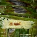 Cooksnap dari Suci Lestari untuk resep Otak Otak Bakar #Keto