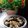 Cooksnap dari Bunda ZR untuk resep Cheese Cake Oreo Lumer