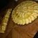 El cooksnap de vane cuando hizo Tarta de manzana.