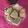 Nimmi soni का कुकस्नैप जब उन्होंने बचे हुए ब्रेड के पकौड़े(bache hue bread ke pakode recipe in hindi) बनाया था।