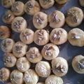 Koczkàné Zelnik Mária (Marcsi) Cooksnap-ja, amikor elkészítette a(z) Gyors túrós pogácsa receptet.
