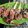 Cooksnap dari Octy Ayu Kinasih untuk resep Es pisang coklat Stick