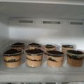 Cooksnap dari TURSIA COLLINA EVANS untuk resep Cheese cake oreo