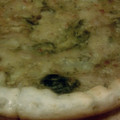 El cooksnap de ArrozMarina cuando hizo Tarta de brócoli y salsa blanca.