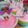 Cooksnap dari Ilmira Cooking untuk resep Puding Pelangi