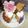 El cooksnap de Zaida TC @alquimiasfood cuando hizo Torta de lentejas.