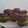 El cooksnap de Noelia Ross cuando hizo Muffin de chocolate fácil de nesquik con chispas de chocolate!.