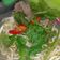 Cooksnap dari Susan Susanti untuk resep 263. Pho Bo (Vietnames Beef Noodle Soup)