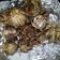 Cooksnap dari Ribkah Agustin untuk resep Black Garlic (Bawang Hitam)