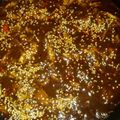 El cooksnap de Anny Hernández cuando hizo Mole poblano con pollo deshebrado.