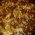 El cooksnap de Anny Hernández cuando hizo Mole poblano con pollo deshebrado.