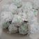Cooksnap dari any setyowati untuk resep Klepon#Maree