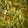 Aisha Magama's cooksnap of when they made Stir fry veggies macaroni.