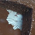 El cooksnap de Delfina Blanco cuando hizo Torta de chocolate con chips de chocolate bañado en ganache.