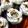 Cooksnap de soum Aous 🧕🏻 sur la recette La mousse d’El djouzia
