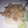 Tawanda Mhene's cooksnap of when they made Beef stroganoff.