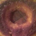 El cooksnap de Ana Belen Sanchez cuando hizo Budín de pan súper fácil.
