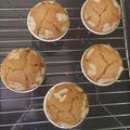 Cooksnap dari Massimo Lorenzo Tirta untuk resep Muffin vanila simpel : Lembut, praktis, No Mixer
