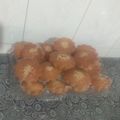 کوک اسنپ آش و آشپزی بعد از امتحان کردن کیک یزدی.