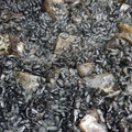 El cooksnap de sencillo capaz cuando hizo Arroz negro, crujiente de puerro y langostinos alioli.