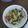 Cooksnap dari Fransiska Yuliana untuk resep Tumis pokcoy telur asin