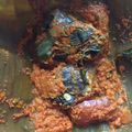 Cooksnap dari Dapur_macio untuk resep Pepes ikan nila
