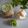 Cooksnap dari Putri(Dapur Ryuna)✅ untuk resep Jus Alpukat KW