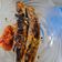 Cooksnap dari Maya Asfarina untuk resep Ikan Kembung Bakar ala Padang