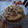El cooksnap de Alida cuando hizo Torta húmeda invertida de peras.
