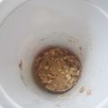El cooksnap de melina cuando hizo Bizcochuelo proteico de avena en taza.