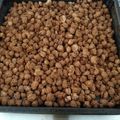 El cooksnap de Guillermo Silvestrin cuando hizo Praliné de maní.