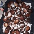 El cooksnap de majojaureguy4@hotmail.com cuando hizo Bolas de Fraile rellenas con dulce de leche!!!.