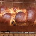 Fleischer Zsuzsanna Cooksnap-ja, amikor elkészítette a(z) Mazsolás foszlós kalács receptet.