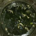 Cooksnap dari nuunaa zun untuk resep Cumi cumi kuah hitam