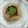 Bhumi Parikh's cooksnap of when they made મગની દાળની ખસ્તા કચોરી (Moong Dal Khasta Kachori Recipe In Gujarati).