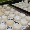 El cooksnap de SEBA cuando hizo Masa de sorrentinos.