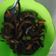 Cooksnap dari Siti Nurjanah untuk resep Oseng belut