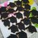 El cooksnap de Patricia cuando hizo Galletitas de manteca.