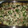 El cooksnap de Victoria Benavides cuando hizo Lasagna de berenjenas, y carne con salsa de queso.