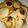 Zyeee Malami's cooksnap of when they made Cookies.