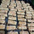 Cooksnap dari Adisti untuk resep Kastengel keju Renyah dan praktis