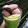 Cooksnap dari azizahanum untuk resep Avocado Float