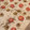 El cooksnap de Carlos Pérez cuando hizo Focaccia de tomate cherry, olivas negras y romero.
