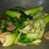 Cooksnap dari Diah Wah untuk resep Tumis Pokcoy Bawang Putih